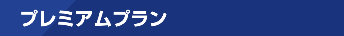 プレミアムプラン
